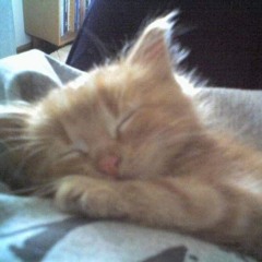 she waited for my letter-thetonysofar