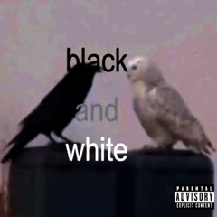BLACK N WHITE