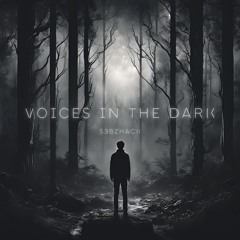 Voices In The Dark (Original Mix)