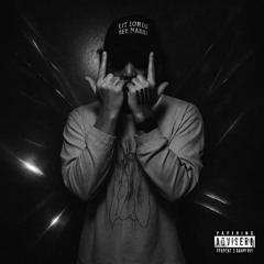 Fear The Pit (Lit lords x Lil Jon)