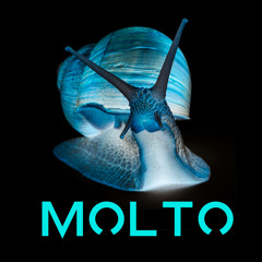 Molto (Produkkt remix)