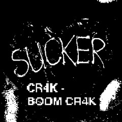 BOOM CR4K