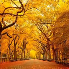 Autumn In New York (paraphrase)