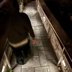 mihara (prod. smts & 34islands)