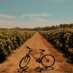 grapevines (prod. prodbysonder)