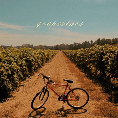 grapevines (prod. prodbysonder)