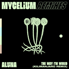 Aluna - The Way I’m Wired (KILIMANJARO Remix (Extended))