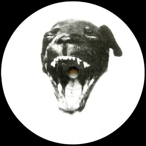 Space Fear - Perreo Intenso
