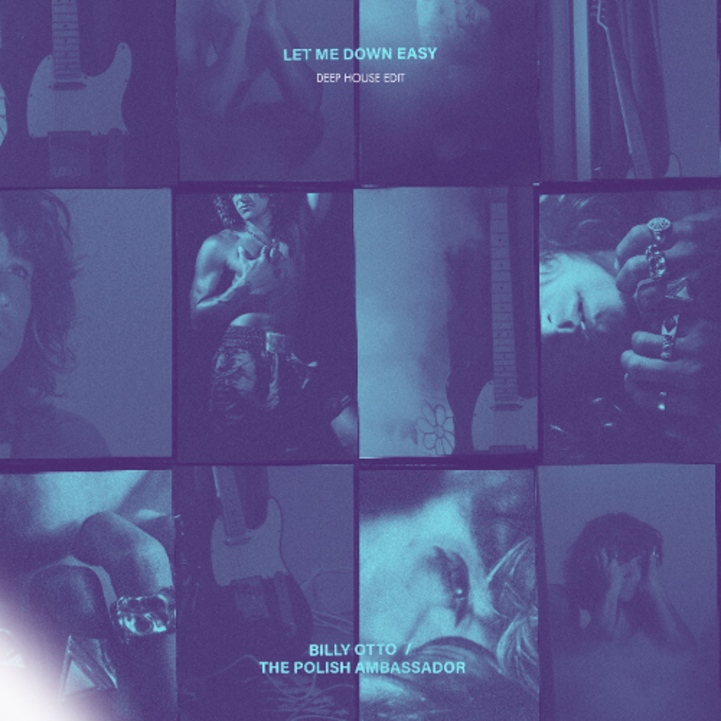 The Polish Ambassador