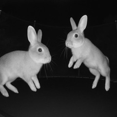 Bunnies x Olivesongs (Metal Version)