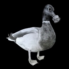 LYNY - Noxious x Bukez Finezt x Duck Trumpet (P!stol Greeny Mashup)