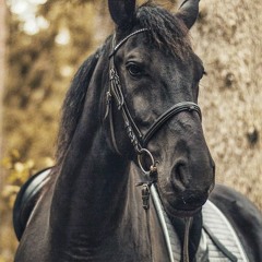 ਜਿਗਰਾ by Varinder Brar