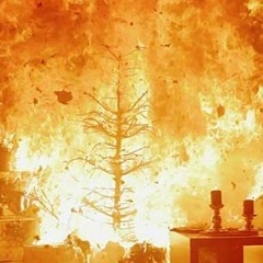 Plucked Xmas Tree with Angels, Bells and Firework