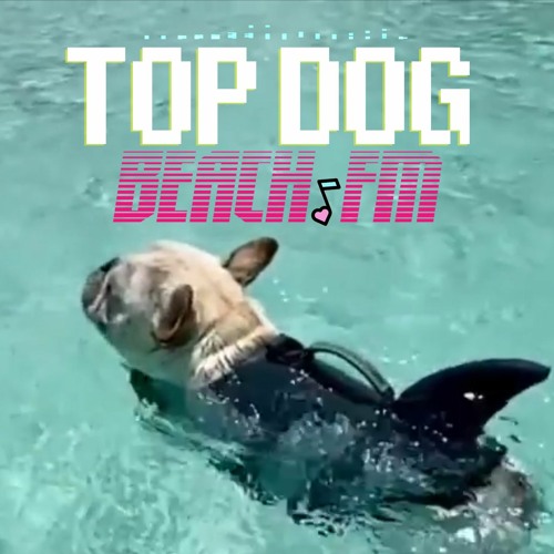 Top Dog Beach Club Mix