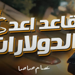 قاعد اعد الدولارات  عصام صاصا