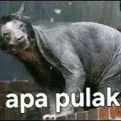 KALAH MATERI Cover Dewi Kirana Dangdut