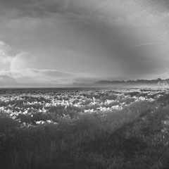 Current Soundscapes: Velocity vs Boredom