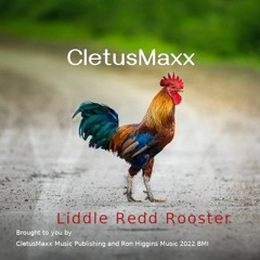 Liddle Redd Rooster