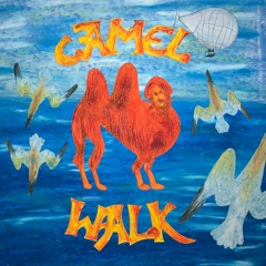 New Strangers - Camel Walk