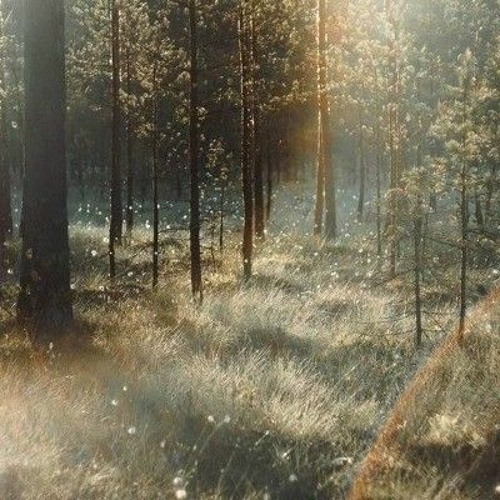 COME ALONG by Cosmo Sheldrake 「maria-tina cover」