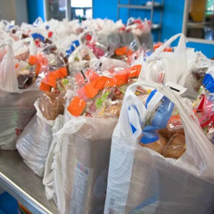 What’s Right: Bagging the Litter Problem