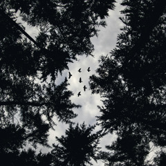 Skyline Sessions Vol. 1