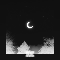 Don't Fall into Shame (Ft. 333NODNARB)
