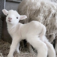 LIGHT IN UR HEART EDIT.wav