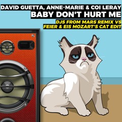 Guetta, Anne-Marie, Coi Leray - Baby Don't Hurt Me (DJs From Mars VS FEIER & EIS Mozarts Cat Remix)