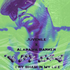 Cry Bhabi in My Life ( BRIcK5 Remix ) + intro
