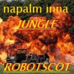 Napalm Inna Jungle