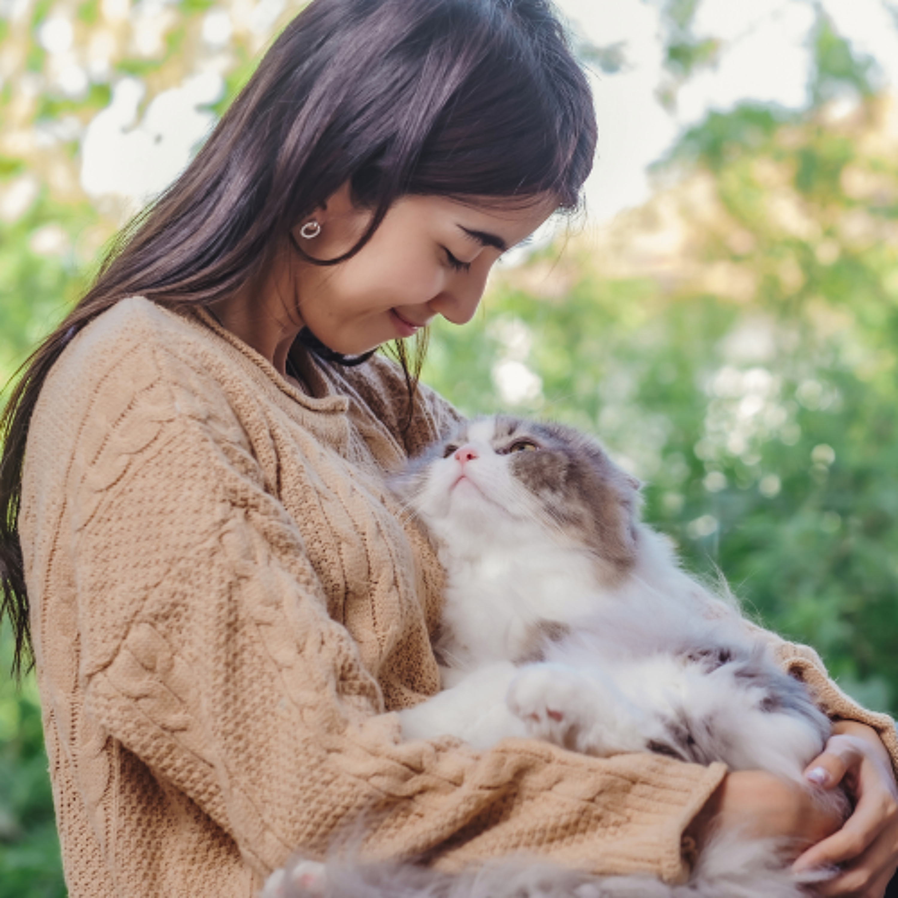 Feline Diabetes: When and How to Reach for an SGLT-2 Inhibitor episode artwork