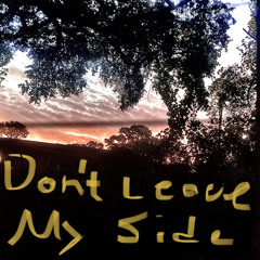 Don’t Leave My Side