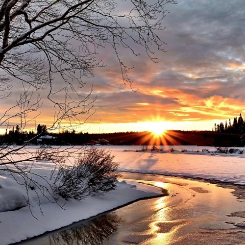 Frozen Solstice