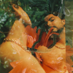 Marina & Ulay (Fragment)