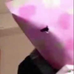 루루짱의 자살방송