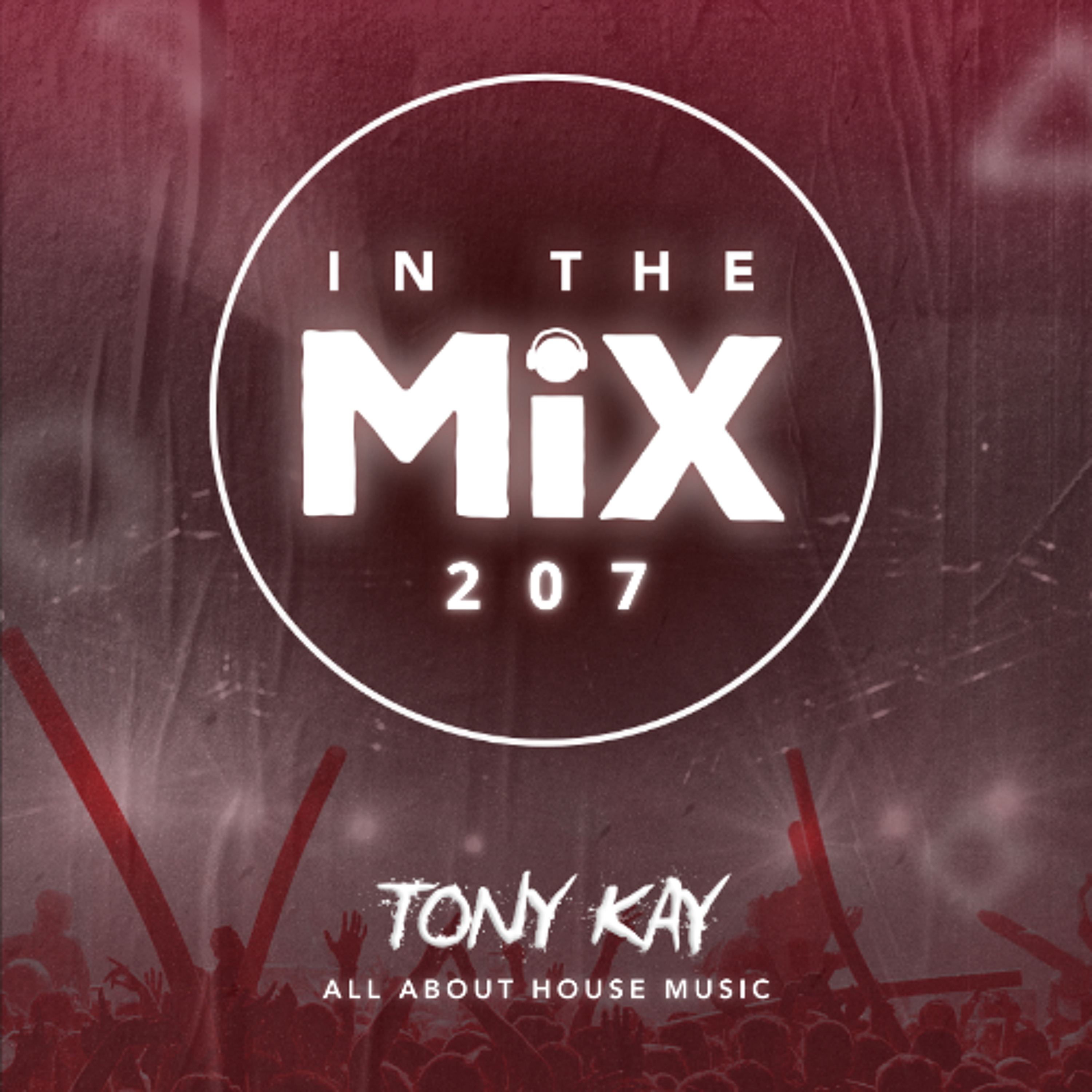 In The Mix 207 ✖ Tok About It Mix Series episode artwork