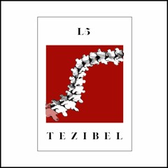 TEZIBEL - Control