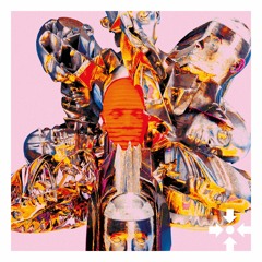 [PREMIERE] | Wice - Considering I'm Normal [BASISLAGER002]