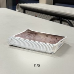 NS204 - When All Around My Sky Is Falling