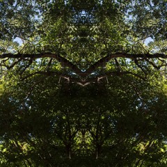 2020 Visions - Best of 2020 (Ambient part 1)Analog