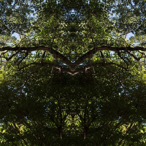 2020 Visions - Best of 2020 (Ambient part 1)Analog
