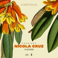 PREMIERE: Nicola Cruz - Tu Recuerdo (Original Mix) [Calypso]