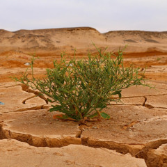 FireStarter - 133 BPM - Headphones