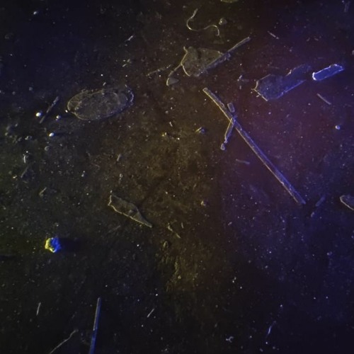 Camu & Yiørg - Cruce de caminos #1