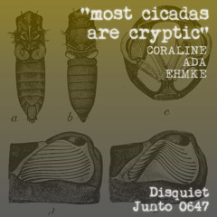 Most Cicadas are Cryptic (disquiet0647)