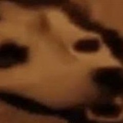 slow dancing in the dark- joji (really short cover)