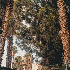 محطّات.mp3