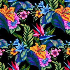 Welcome to the Jungle