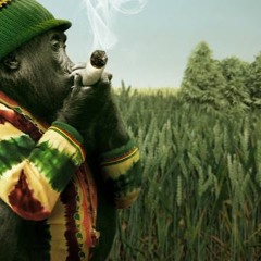 Prime8 Radio #1 - Reggae Rumble - KTPC 99.1